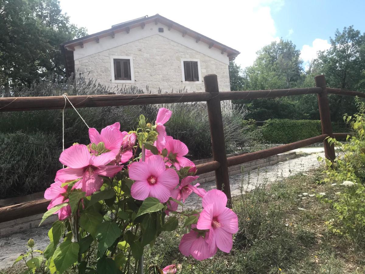 Country House Antiche Dimore Abbateggio Eksteriør bilde